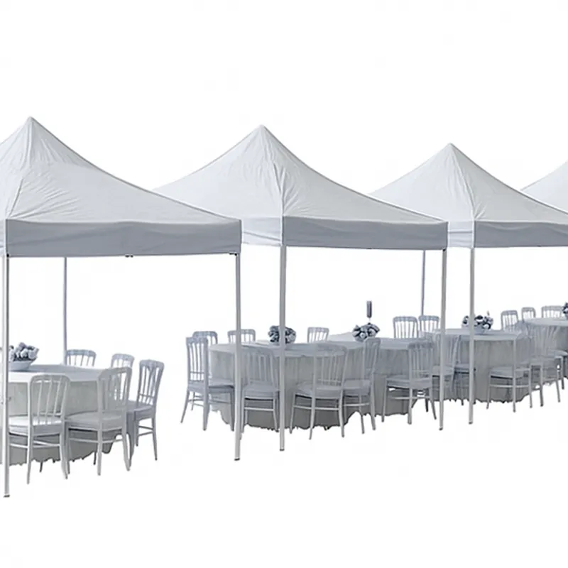 Organizasyon Çadırı Model 1